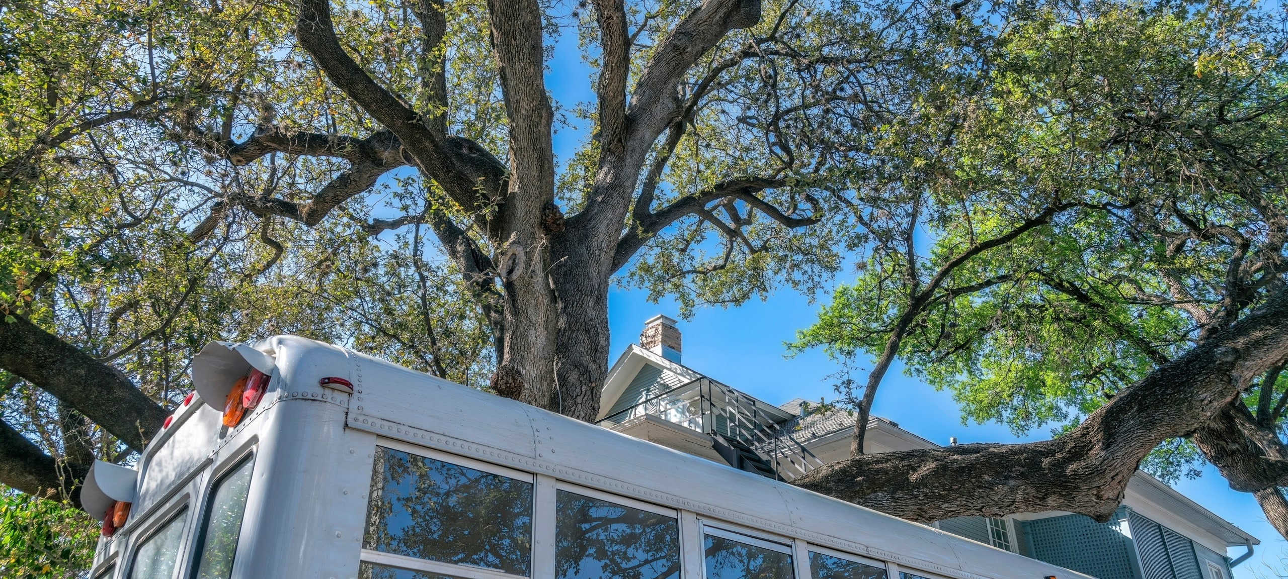 Vintage school bus and residential house with large tree in Austin neighborhood